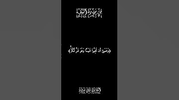 من سورة البقرة | شاشة سوداء بصوت القارئ زين بدور