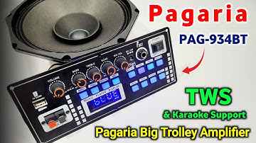 Pagaria PAG-934BT Big Trolley Audio Amplifier |  Mic Echo Function 12V DC Operating | You Like Ele.