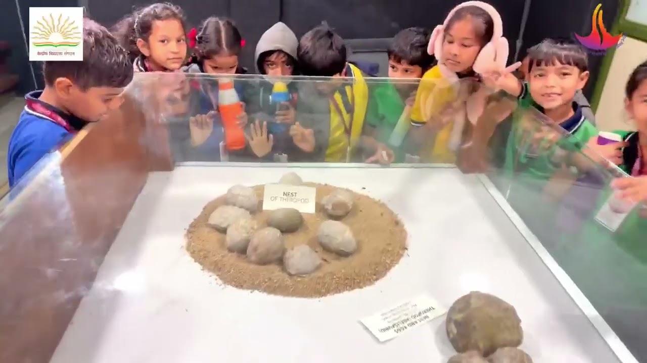 Field Visit - Dinasoure Park Class III to V std 