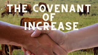 FFC Livestream | The Covenant of Increase - Part 2 (2) | Pastor Eddie Smith | 2.28.24