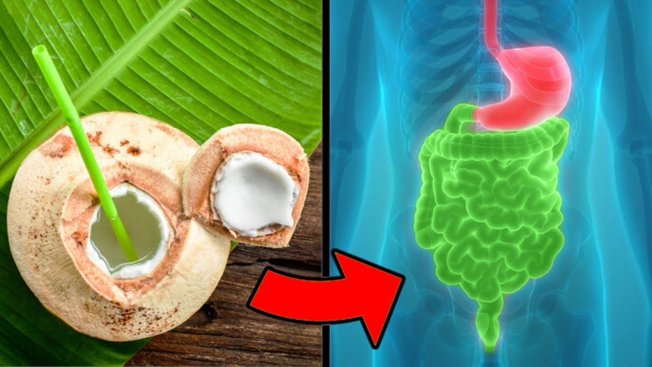 Coconut Water vs Coconut Milk How They Differ and What Their Benefits