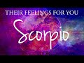 Scorpio love tarot  its not over scorpio its all about to change  this person is missing you