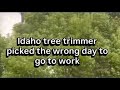 Idaho tree trimmer withstands windstorm