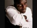Akon ft Ray Lavender - Against The Grain