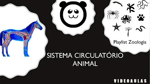 Quais animais possuem coração com 4 cavidades?