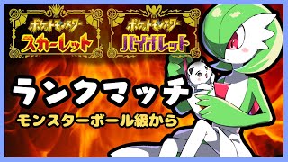 初心者によるランクマッチ【ポケモンSV・モンスターボール級から】