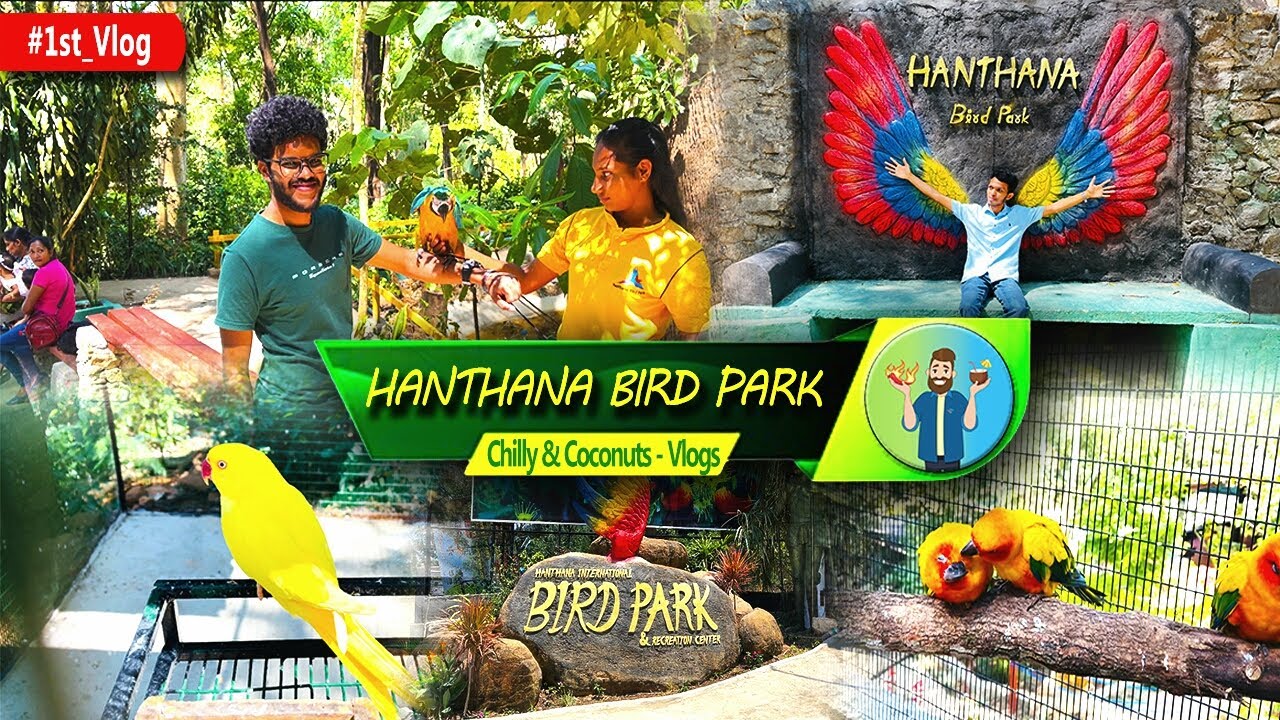 Kandy Hanthana Bird Park Sri Lanka Travel Vlog 001 Nature's