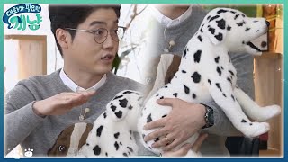 Dear My Human (개궁금) 강아지를 편하게 안는 방법!! 171129 EP.11