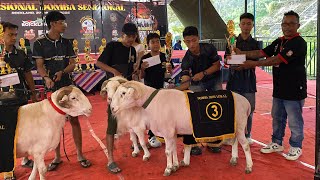 PARA JUARA JANTAN BERTANDUK KONTES DOMBA NASIONAL KAB MAGELANG 