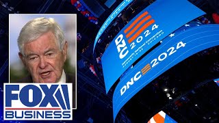 Gingrich: Democrats ‘don’t want you to know who they are’