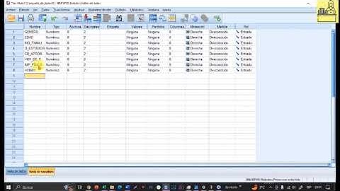 IMPORTAR y GESTIONAR DATOS DE EXCEL PARA GENERAR GRÁFICOS EN SPSS