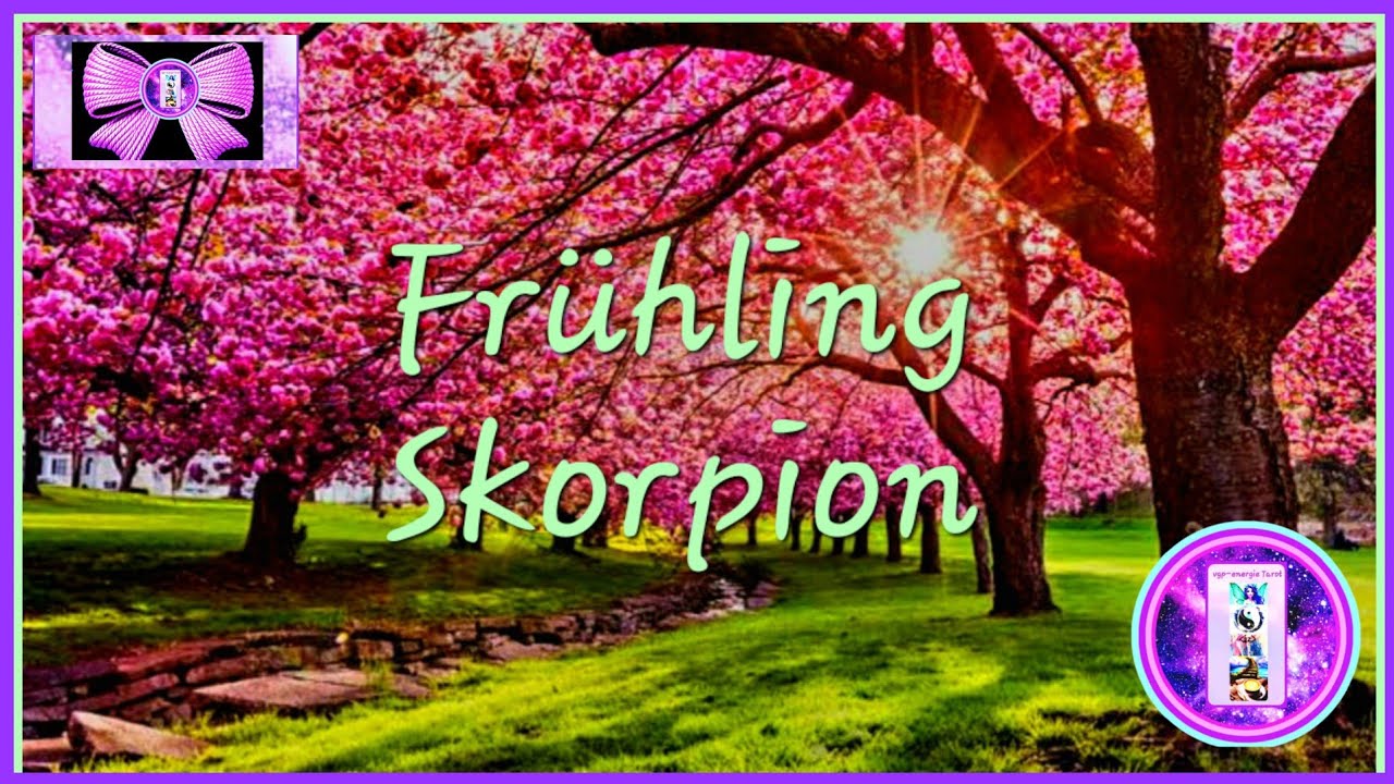 Skorpion ♏️ DEIN HÖHEPUNKT IM FRÜHLING 🧚‍♀️Kaffeesatz ☕️ vgp-energie Tarot 