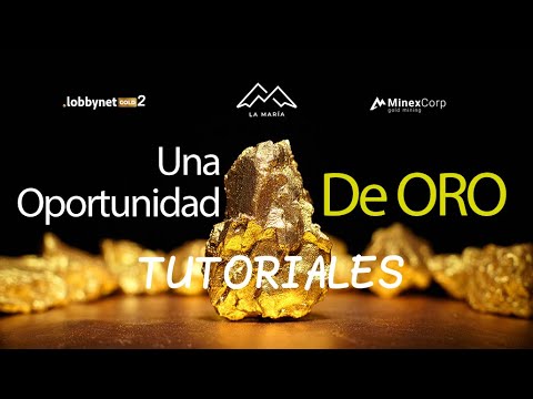 Vídeo: Com Elaborar Un Programa De Correcció