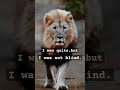 I was quite #relatable #lion #quotes #trending #reels
