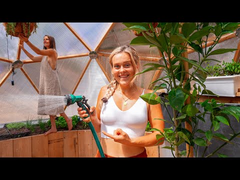 VanWives, video 2 of 2