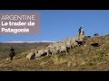 Argentine  le trader de patagonie