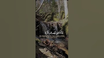 #القران #القرآن_الكريم تلاوة هادئة تريح القلب راحة نفسية القران شفاء الروح