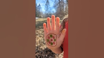 CC Cycle 3 Week 15 Science - WHAT ARE SOME PARTS OF AN ATOM