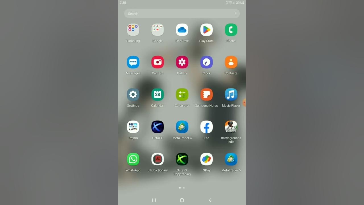 Mizo forex trader.29.November2022(1day salary) foreign exchange trader