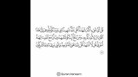 القارئ سعد الغامدي - سورة الأنعام - الآية 19