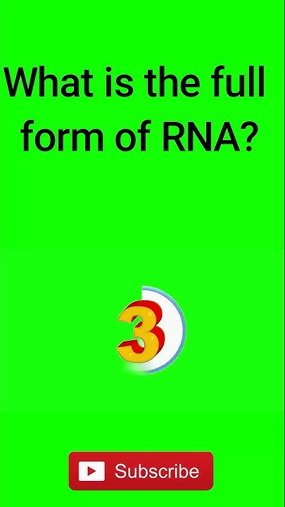 What Is The Full Form Of RNA YouTube what-is-the-full-form-of-rna-youtube