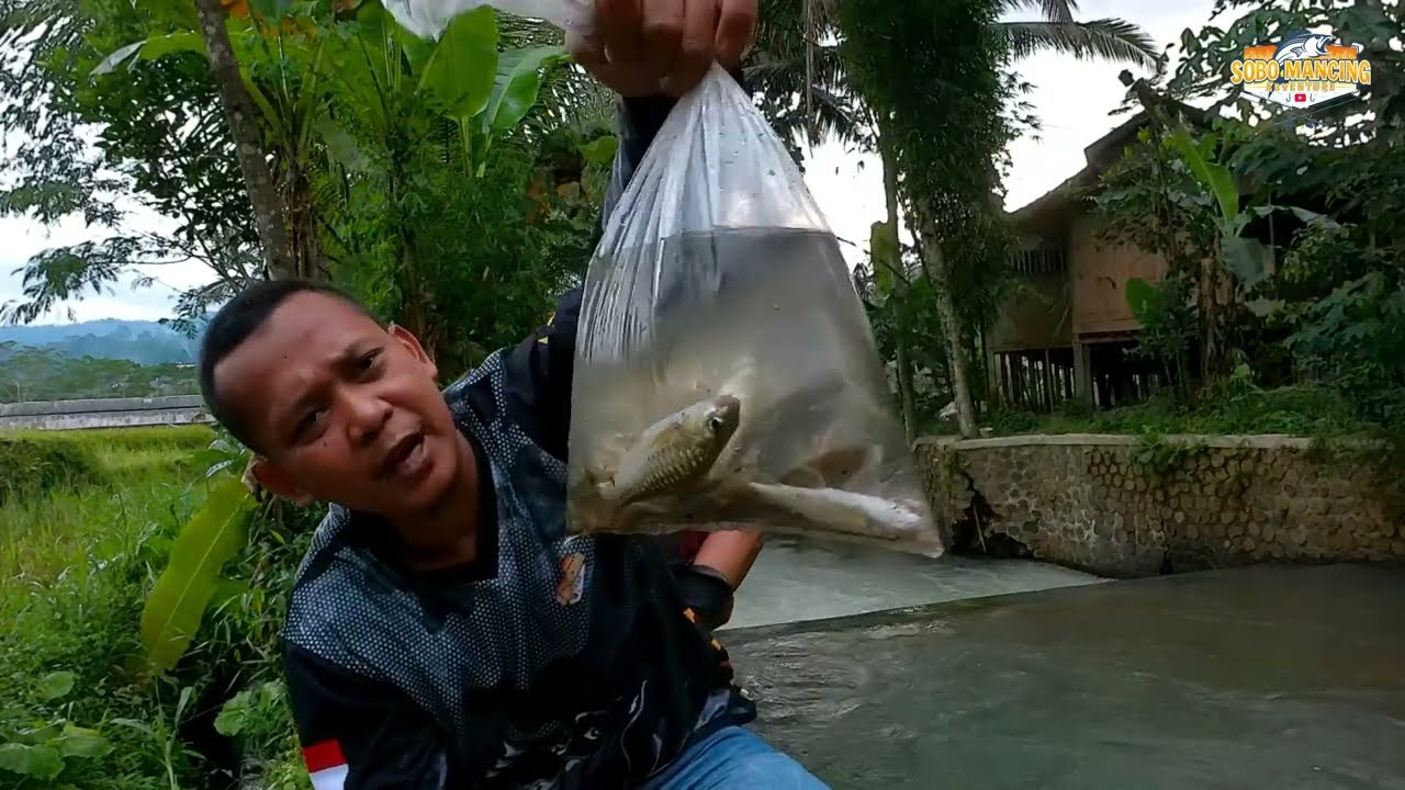 Mancing ikan nilem babon dan lempon di sungai ini masih banyak cuma