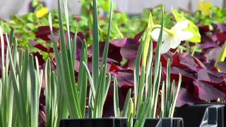 Changes in Virginia Agriculture