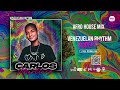 Afro house venezuela mix by carlos martnez  podcast venezuelan rhythm ep 024tech house  2k24