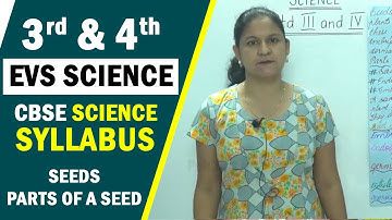 3rd & 4th EVS Science | CBSE Science Syllabus | Seeds - Parts of a Seed