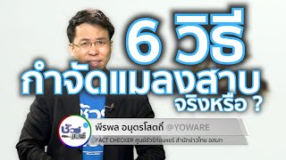 ชัวร์ก่อนแชร์ : 6 วิธีกำจัดแมลงสาบ ใช้ได้จริงหรือ ?