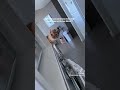 Cute Cat
