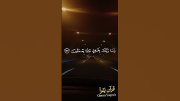 ولكل درجات مما عملوا #سورة_الأنعام #القرآن_الكريم #احمد_العجمي#اكسبلور #راحة_نفسية#لايك #تلاوة_خاشعة