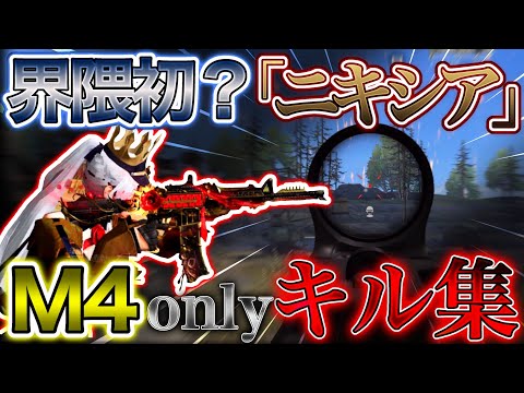 【荒野行動】数十万課金しても出ない激レア武器「ニキシア」でM4onlyキル集【荒野の光】