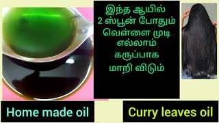 இந்த இலை கருவேப்பிலை ஆயில் 2 ஸ்பூன் போதும் வெள்ளை முடி கருப்பாக மாறி விடும்/ Curry leaves hair oil/