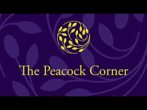 The Garden Venue - Peacock Corner. 30 to 60 Guests. Virtual Tour Wedding Venue & Hotel. Jhb Gauteng