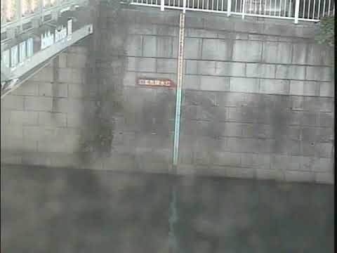 目黒川 荏原池上 ライブカメラ 12 定点観測 Meguro River Live Camera Youtube