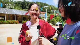 《谁知盘中餐》 20250619 不一样的甜滋味 | 农业致富经 Agriculture And Farming