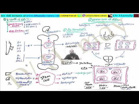    1 المحاضره الاولي طب الاطفال د حمدي فتحي