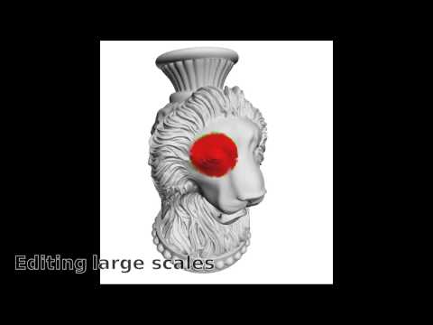 Adaptive multi-scale analysis