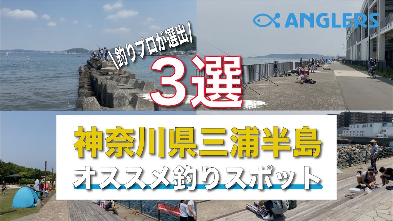 釣り初心者必見 神奈川県三浦半島オススメ海釣りスポット3選 5月上旬の釣り場 神奈川県海釣り 森戸海岸 うみかぜ公園 海辺釣り公園 Youtube