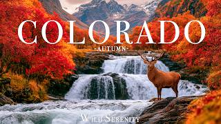 Colorado Autumn 4K 🍁 Scenic Drives, Aspen Trees & Rocky Mountains Fall Colors
