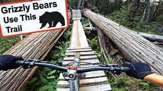 “Grizzly Bears Use This Trail” - Because Mountain Biking Isn’t Scary Enough