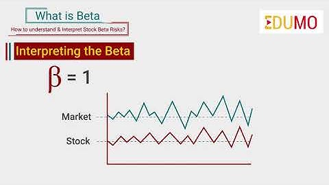 What is Beta In Stocks? How to Understand & Interpret stock Beta risks | Motilal Oswal