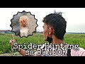 Gagamba Hunting sa Bundok