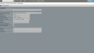 SAP Transactions for SAP System Parameters