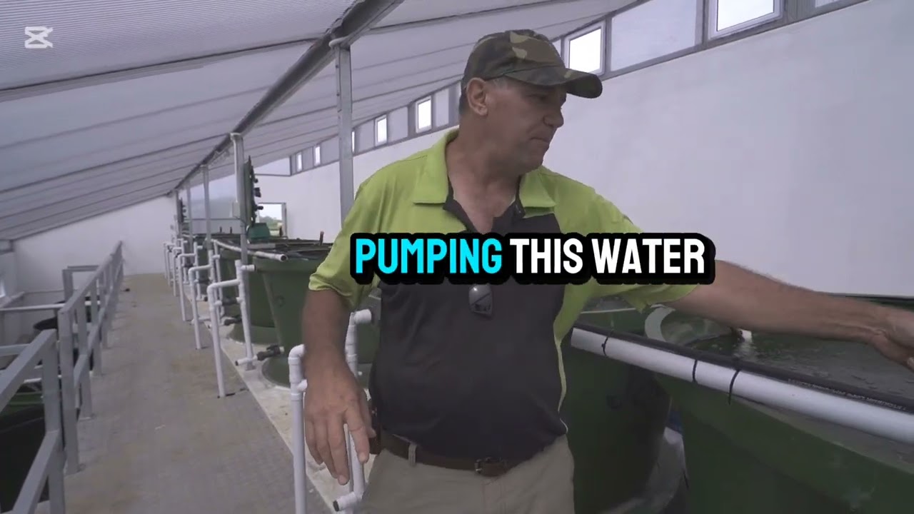 Optimized modular Aquaponics systems design and management