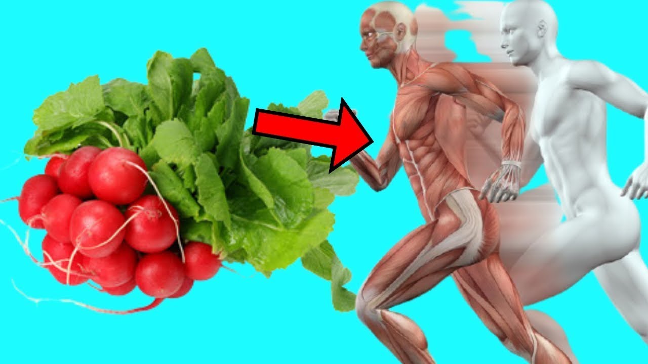 Radish Reduces Digestive disorders, Acne, Respiratory diseases, And