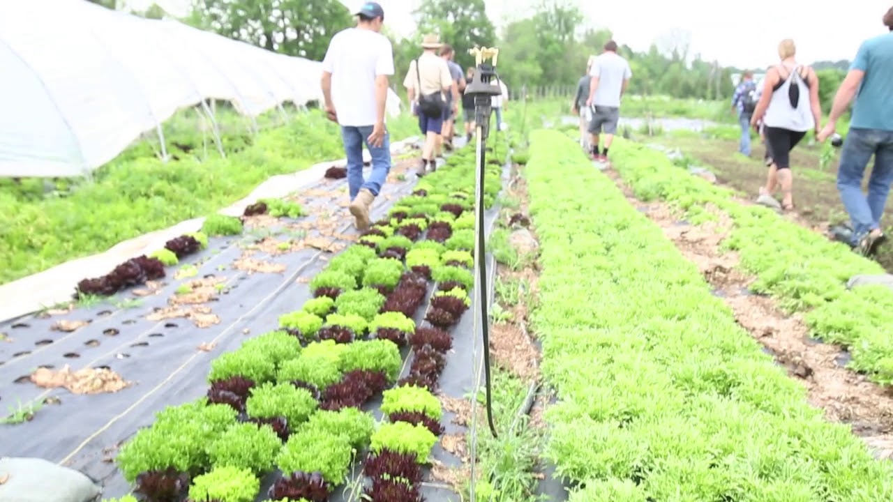 La Ferme Des QuatreTemps with Curtis Stone and JM Fortier YouTube
