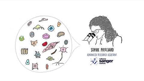 Public Engagement Prizes 2020 - Technical Prize - ...