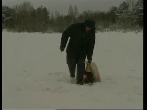 Отчёты по зимней рыбалке Нижегородская область
